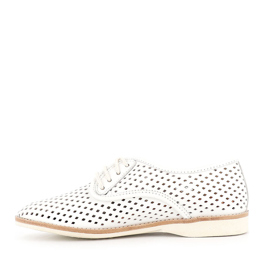 DERBY PUNCH - WHITE LEATHER