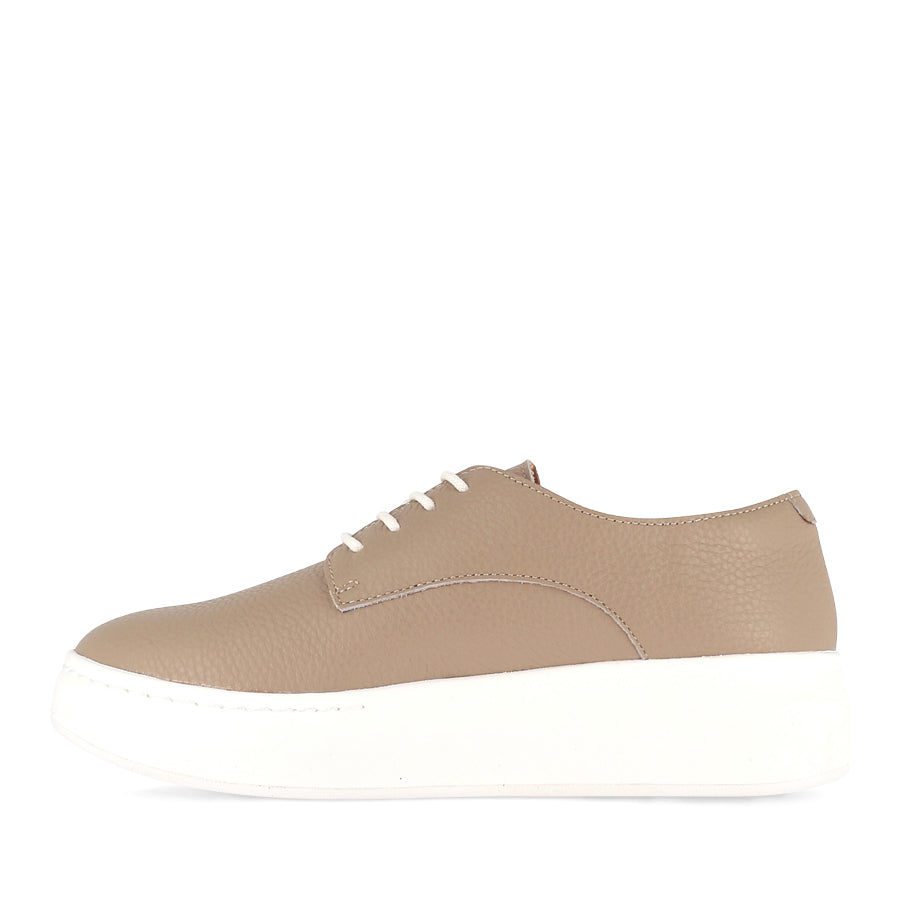 DERBY CITY LACEUP - TAUPE TUMBLE LEATHER
