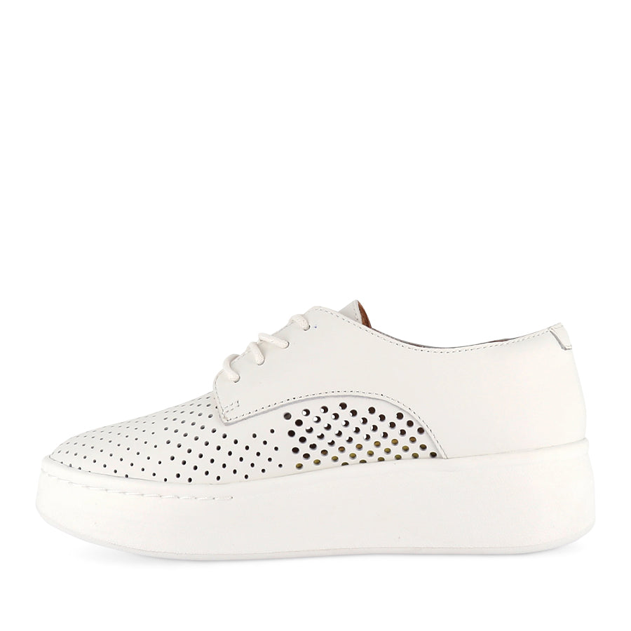 DERBY CITY PUNCH - WHITE LEATHER – Evans Shoes