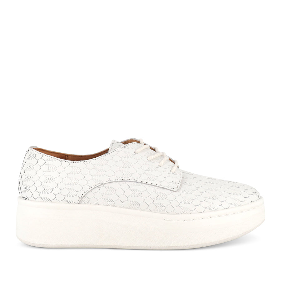 DERBY CITY LACEUP - WHITE GEO LEATHER